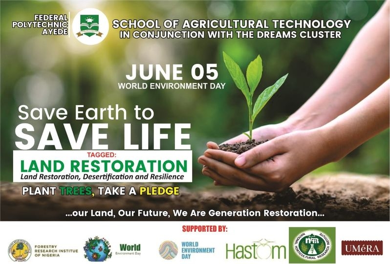 World Environment Day: Rector calls for nationwide tree planting to combat climate change